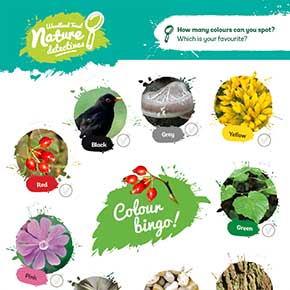 Tree Tools for Schools - Woodland Trust