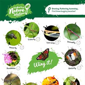 LARGE NATURE SPOTTER SHEETS,PERFECT FOR BUG HUNTS & POND DIPPING 